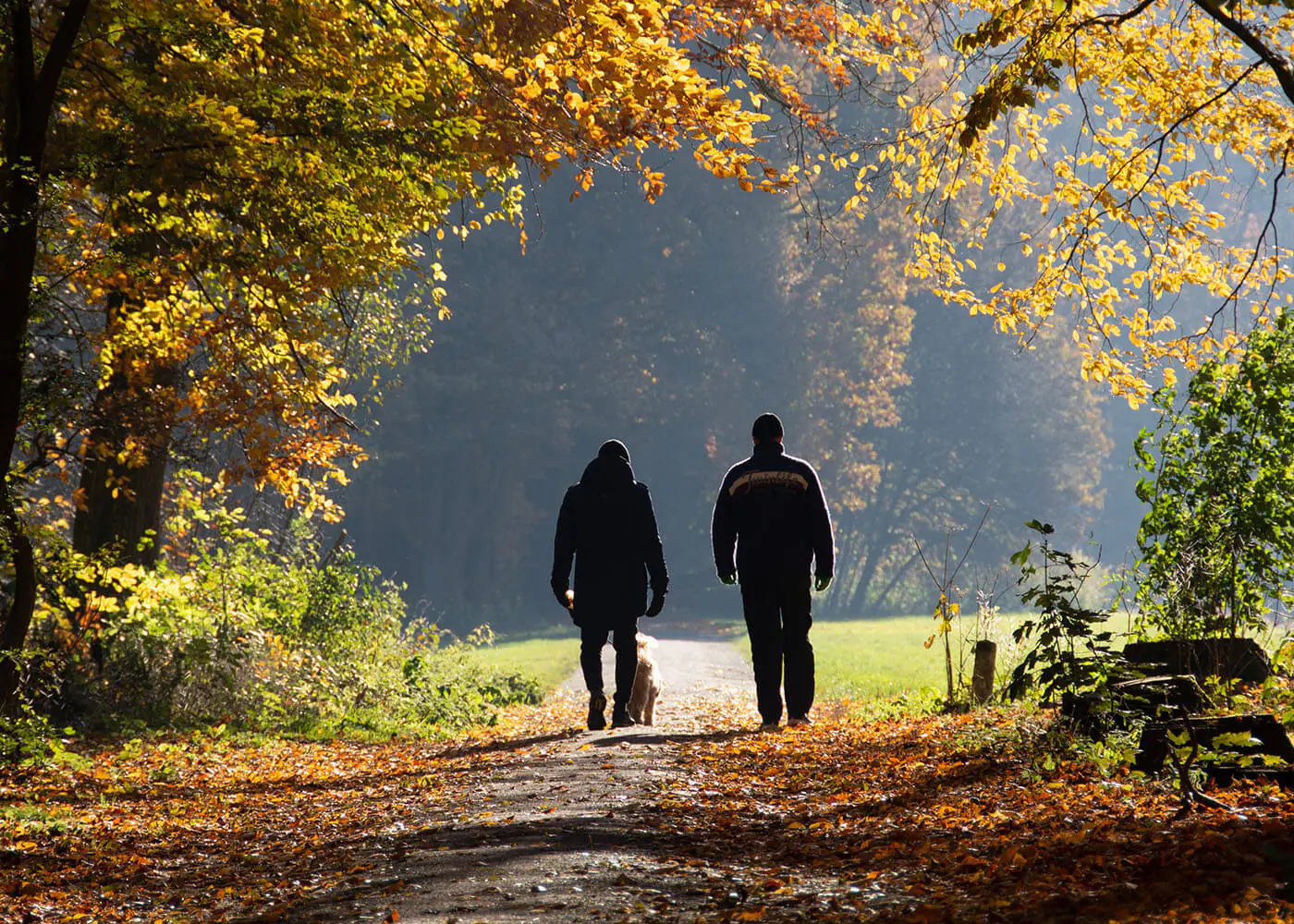 4 Steps to Take When You Inherit an IRA